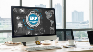 Handling Upgrades and Maintenance in a Web-Based ERP System