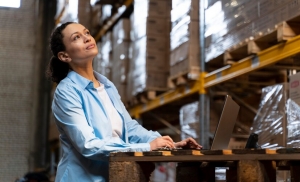Cloud-Based ERP Solutions: Optimizing Inventory Accounting for Your Business